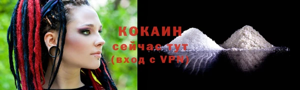 амф Арсеньев