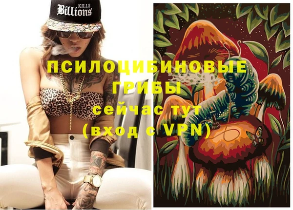 ECSTASY Кинешма