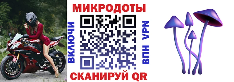 Псилоцибиновые грибы мухоморы  kraken ТОР  Заречный  цена  