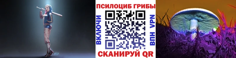 Псилоцибиновые грибы GOLDEN TEACHER Заречный