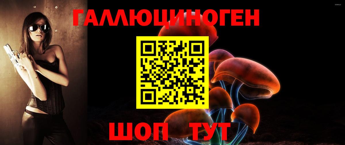 Псилоцибиновые грибы Psilocybe Заречный
